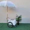 Small Size Popsicle Cart with Bicycle Tires – Mobile & Versatile