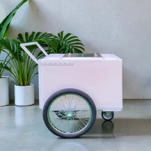 Standard Popsicle Cart with White Painted Trim – Compact & Versatile