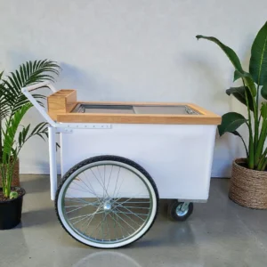 Elegant Large Popsicle Cart with Sliding Glass Doors – 3 Unique Looks