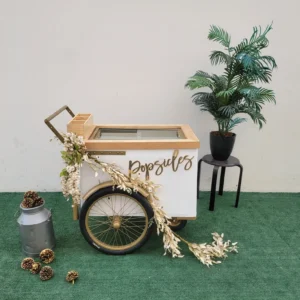 Standard Size Popsicle Cart with Sliding Glass Doors & Bicycle Tires